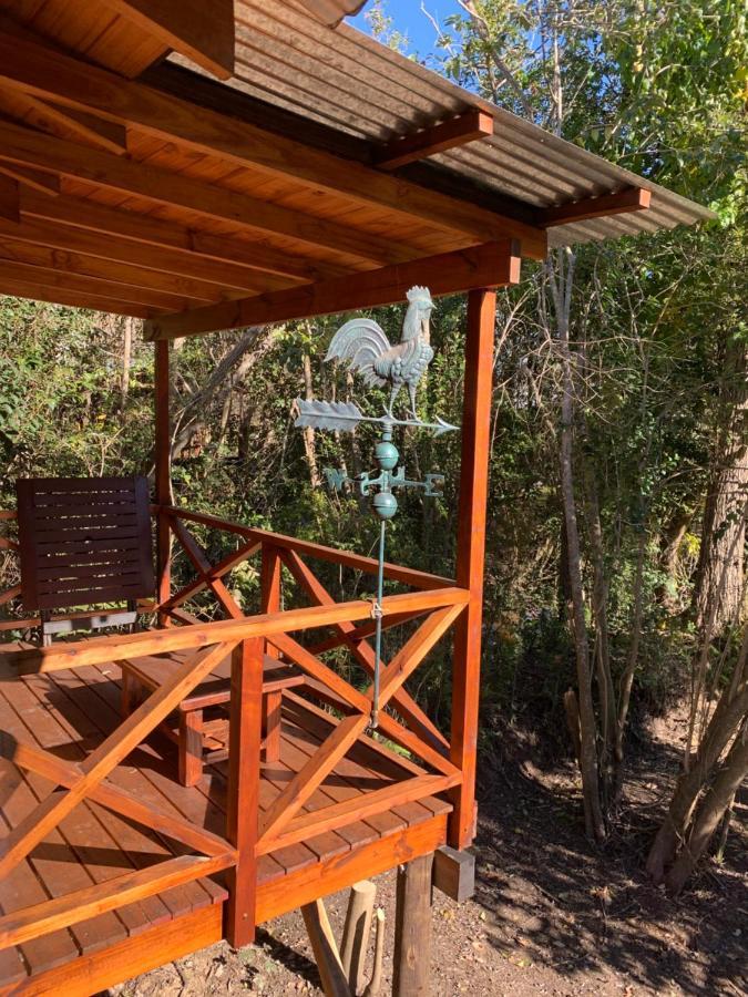 Alojamento de Turismo Selvagem Magnolia En Marea Delta Del *