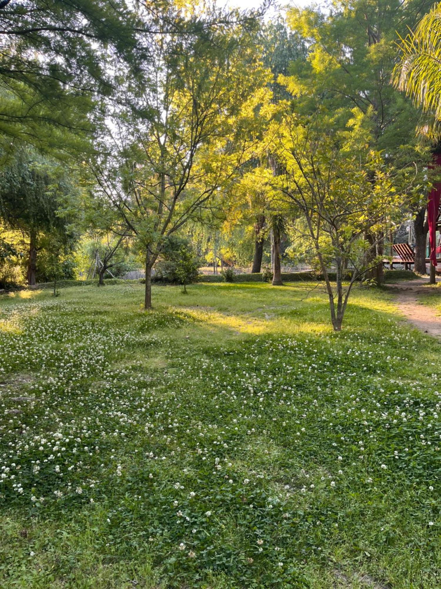 Magnolia En Marea Delta Del Lodge